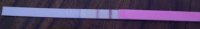 CD 14 OPK.jpg