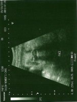 scan0001.jpg