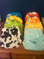 IMG00079-20101001-1008.jpg
