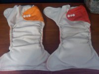 IMG00083-20101001-1010.jpg