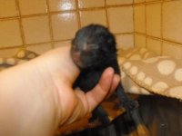 DSCF7381.jpg