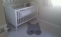 nursery 5.jpg