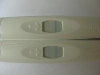 opk3.jpg