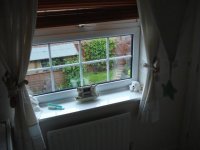 DSC01258.jpg