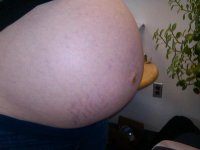 belly 37w-d.jpg