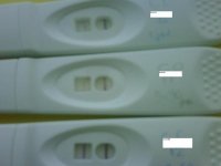 Great OPK Progressions.jpg