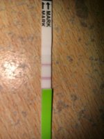 IMAG0006.jpg