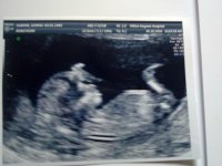 05102010023.jpg