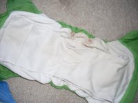 SDC11594.jpg