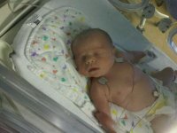 IMG00452-20101007-1737.jpg