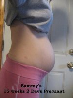 15w2d pregnant bump pic 004.jpg