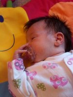 IMG00118-20101003-1733.jpg