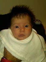 IMG00123-20101003-1817.jpg