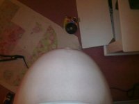 10102010091.jpg