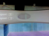 Invert9dpo.jpg