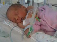 IMG00499_20101011_1445.jpg