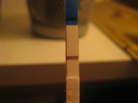 Bilde 004.jpg