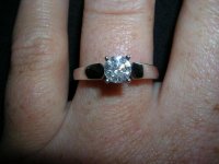engagement and gardens 009.jpg