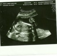 scan0005.jpg