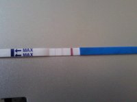21.02.2009.jpg