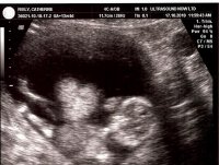 scan0029.jpg