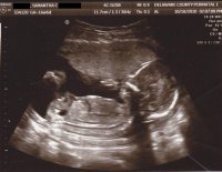 2-7-08.jpg