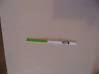 IMG_3502.JPG