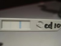 oct 22-10.jpg