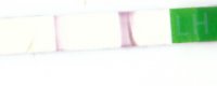 10-26 opk 1135 am.jpg