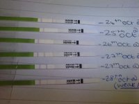 opk28oct230pm 001.jpg