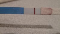 asda 11dpo(a).jpg