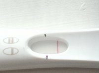 FRER.jpg