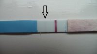 Asda 2dpo (a).jpg