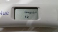 CB digi 13dpo.jpg