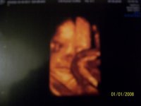 100_3893.jpg