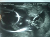 scan 3.jpg