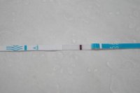 9dpo 10.31.2010 hcg2.jpg