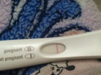 FRER.jpg
