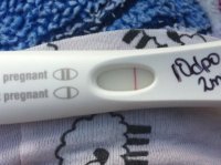 FRER2.jpg