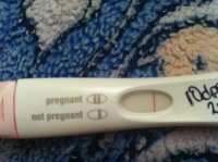 Frer3.jpg