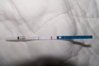 6 dpo pic.jpg