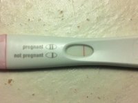 FRER.jpg