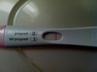 FRER2.jpg