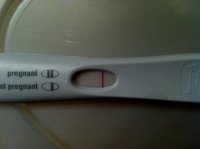 FRER3altered.jpg
