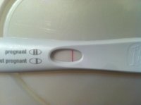 FRER3Normal.jpg
