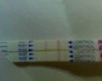 OPK.jpg