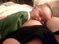 Evan booby sleeping.jpg