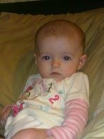 10102010981.jpg