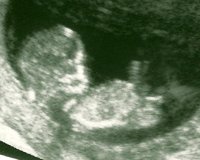 Baby#4.jpg