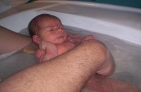 100_4889.jpg